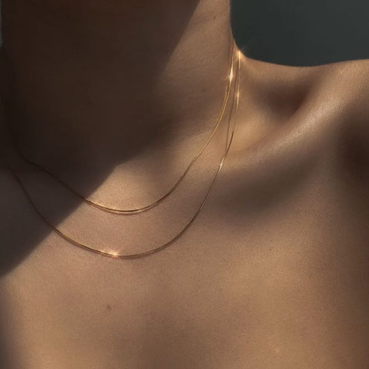 Delicate Double Layered Necklace